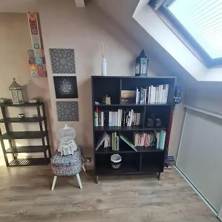 Magnifique Maison Apartment